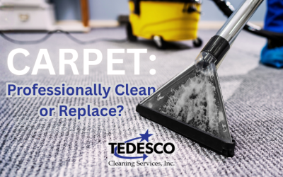 Carpeting: When to Professionally Clean & When to Replace